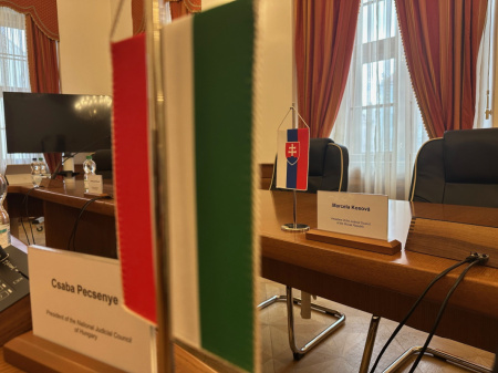 meeting with council of hungary